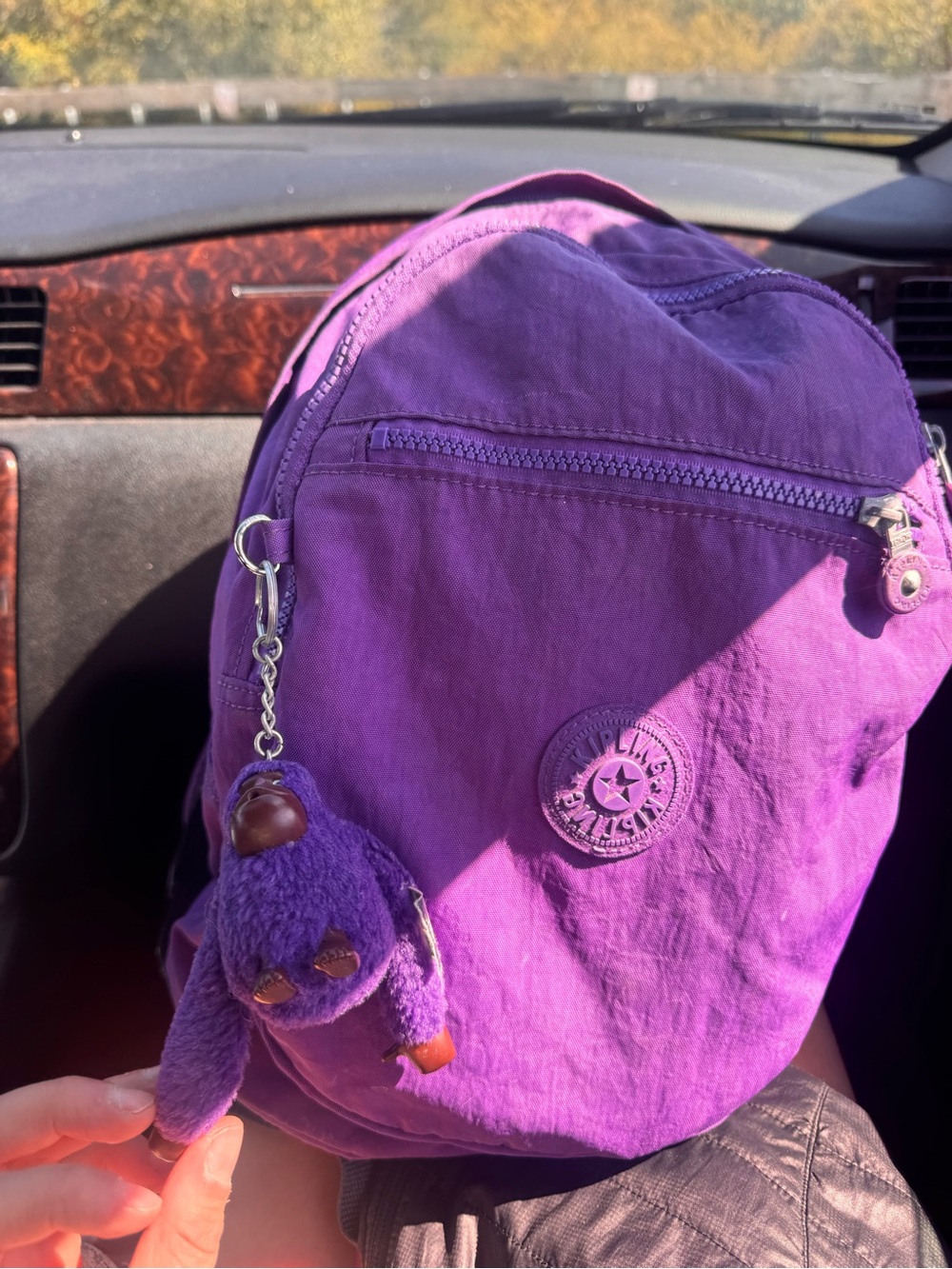 Kipling Seoul Large Backpack With Laptop Protection - purple